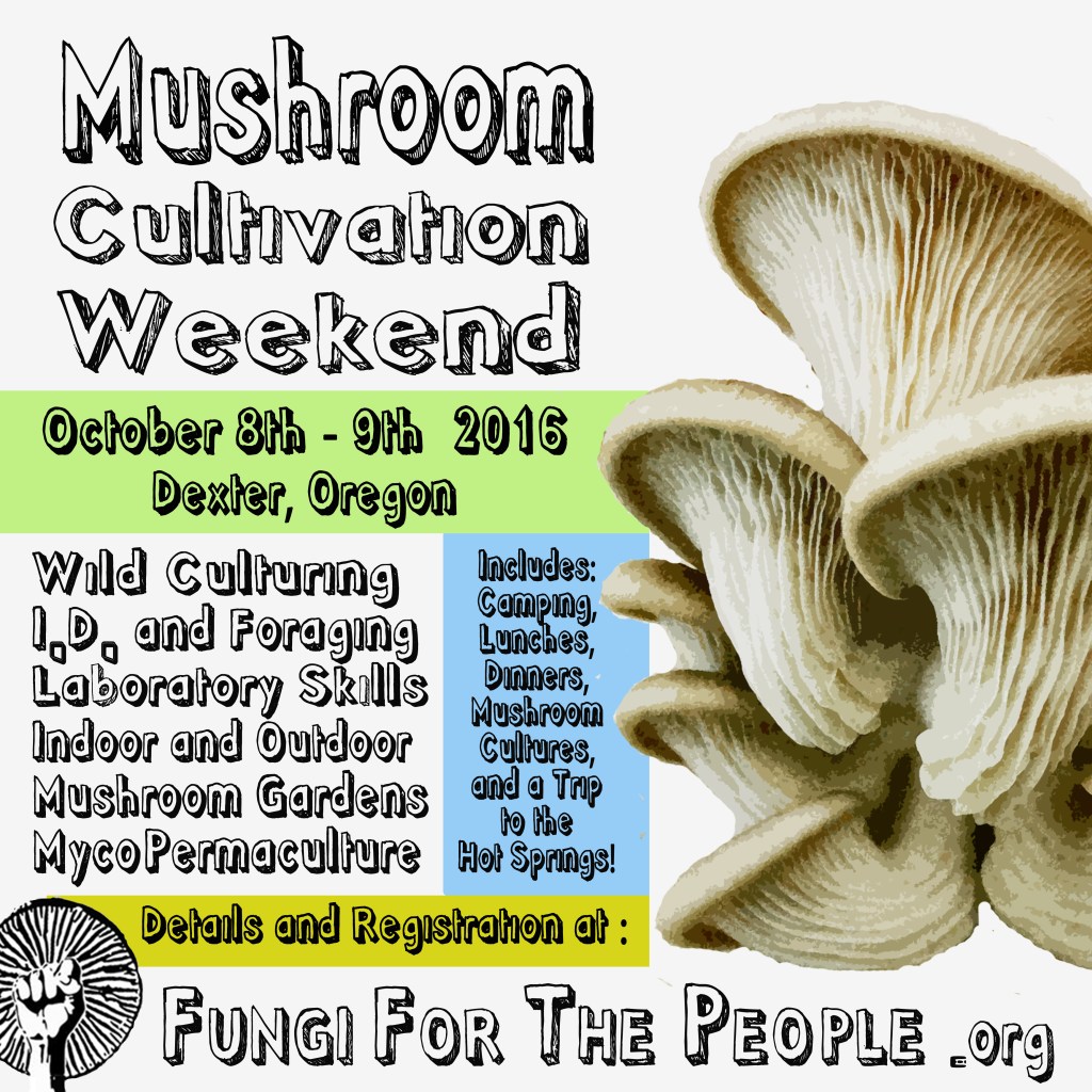 DexterOct2016MCWFlyer