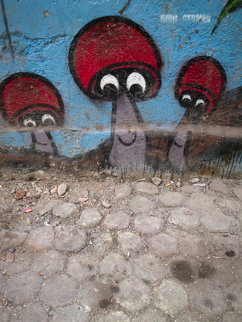 mushroomstreetart21
