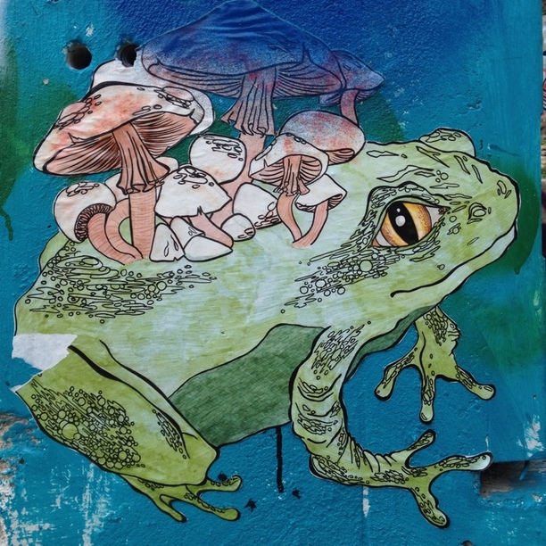 Mushroom Street Art | Austin, Tx