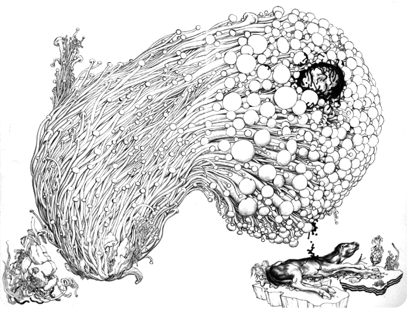 Enoki | sketch by James Jean