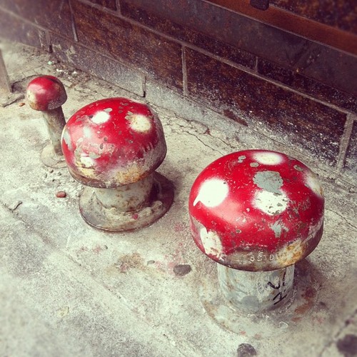 Mushroom Street Art | San Francisco