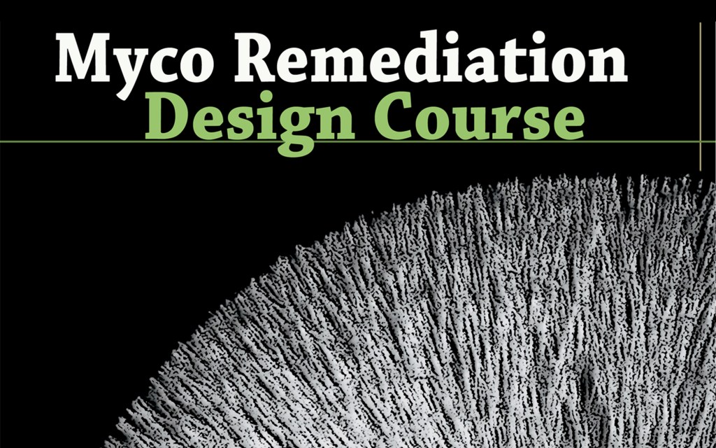 MycoRemediation Design Course setting forth to Evolve the world of Earth&nbsp;Healing
