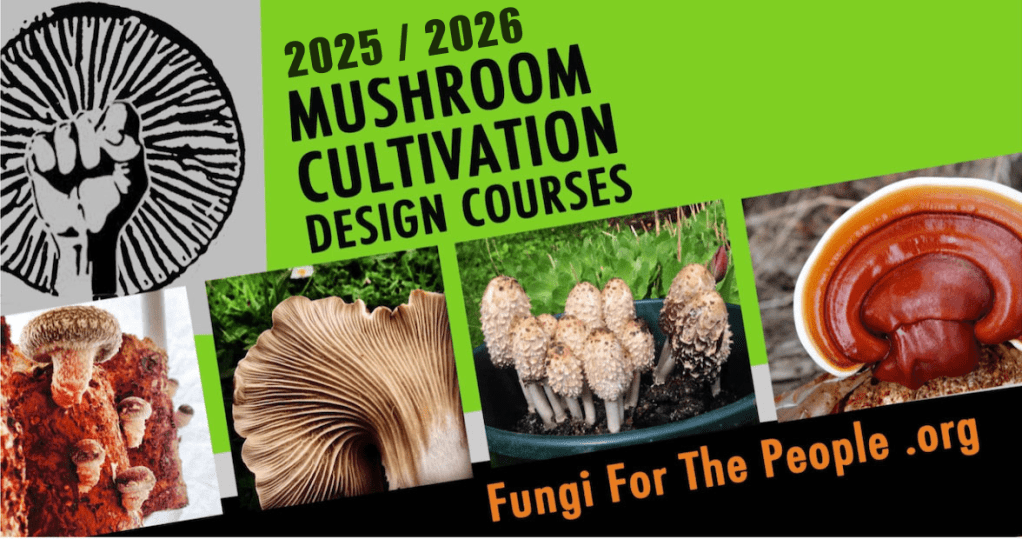 Mushroom Cultivation Design Course 2025 / 2026 Now Open&nbsp;…